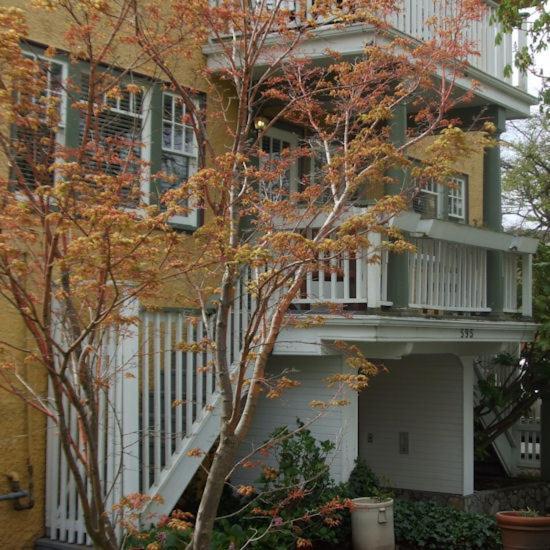 Rosewood Inn Виктория Екстериор снимка