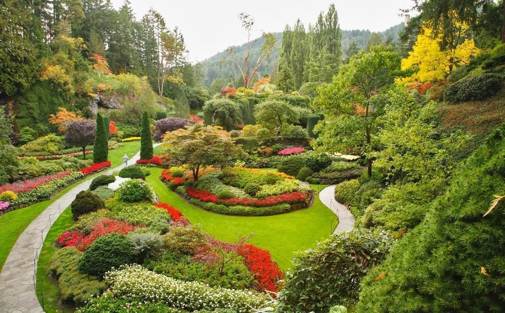 Rosewood Inn Виктория Екстериор снимка